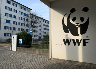 Rusia prohíbe las actividades de la oenegé ecologista WWF