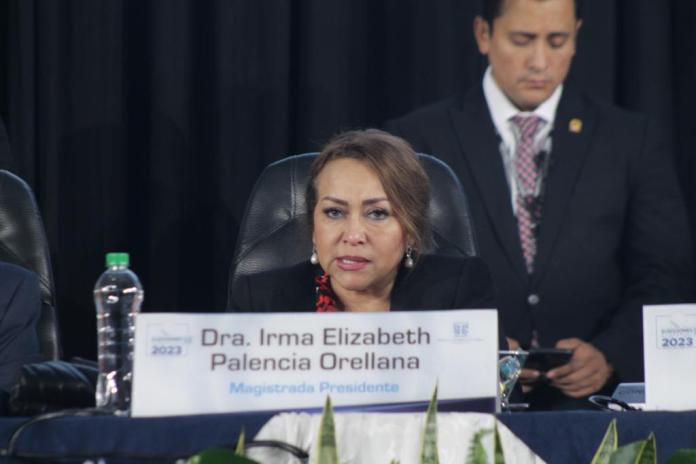 Irma Palencia, señaló este 26 de junio, que “el voto nulo no significa solo la oposición al sistema”.
