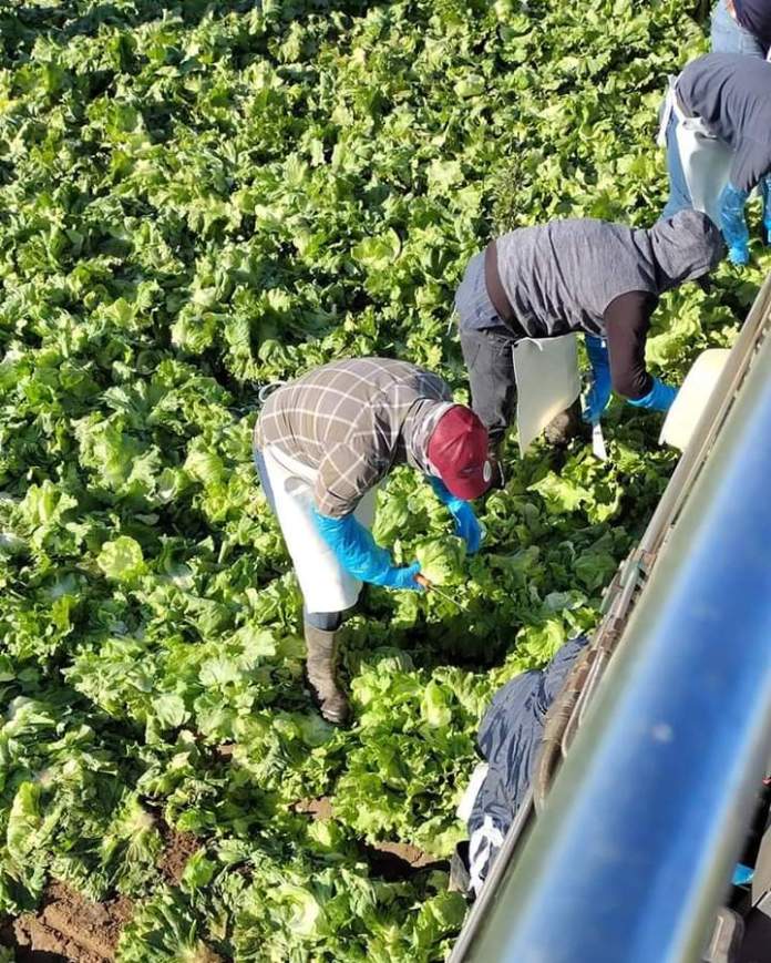 Trabajadores