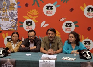 Ecuador, referéndum