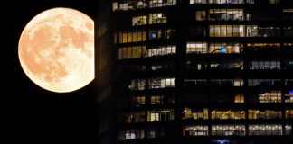 Una superluna pasa detrás de las ventanas iluminadas de un rascacielos en Nueva York.