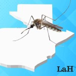 DENGUE