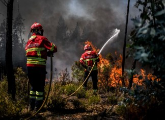 Más de 1.000 bomberos lucharon hoy contra un incendio forestal en el centro de Portugal, cuando las autoridades advirtieron que miles de hectáreas estaban en riesgo en medio de las altas temperaturas en todo el país.