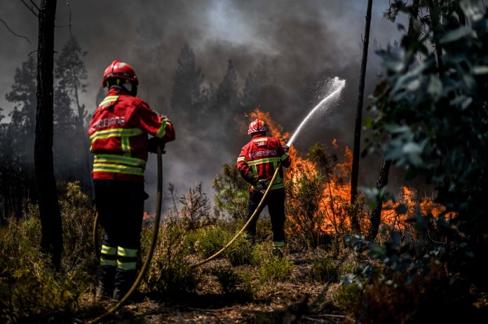 Más de 1.000 bomberos lucharon hoy contra un incendio forestal en el centro de Portugal, cuando las autoridades advirtieron que miles de hectáreas estaban en riesgo en medio de las altas temperaturas en todo el país.