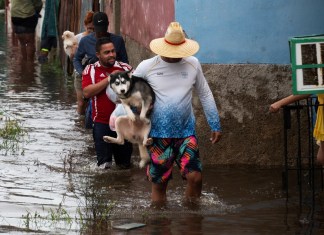 La tormenta tropical Idalia se fortaleció hasta convertirse en huracán este martes y los meteorólogos pronostican que se volverá "extremadamente peligrosa" antes de tocar tierra el miércoles en Florida, Estados Unidos.