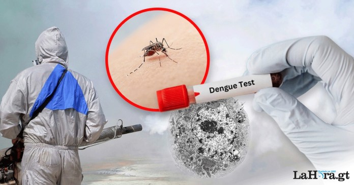 el Ministerio de Salud Pública y Asistencia Social emitió una alerta sobre el aumento de casos de dengue a nivel nacional.