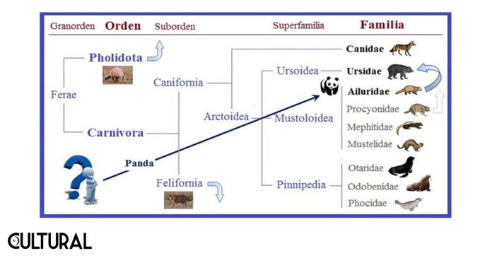 Imagen: Cortesía Suplemento Cultural