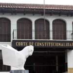 Corte de Constitucionalidad, Semilla