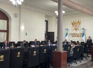 El asunto fue propuesto a lo interno de la referida instancia, pero no alcanzó los votos necesarios para ser colocado en la agenda legislativa.