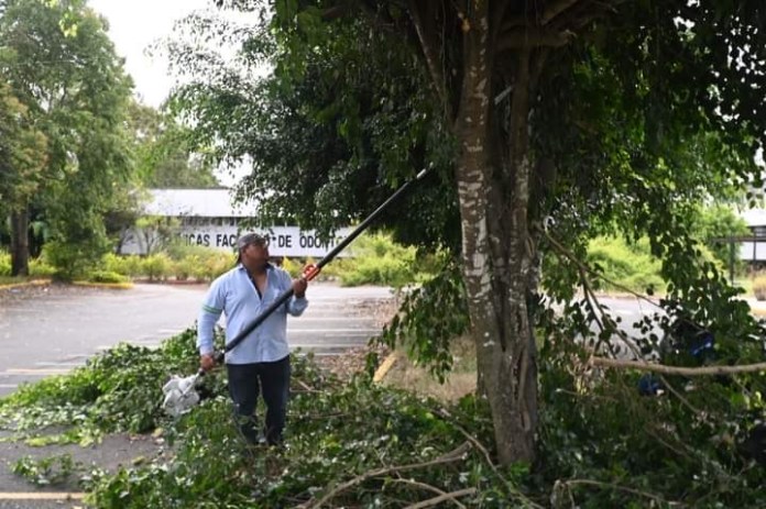 En los últimos días trabajadores han estado realizando labores de limpieza en el lugar. 