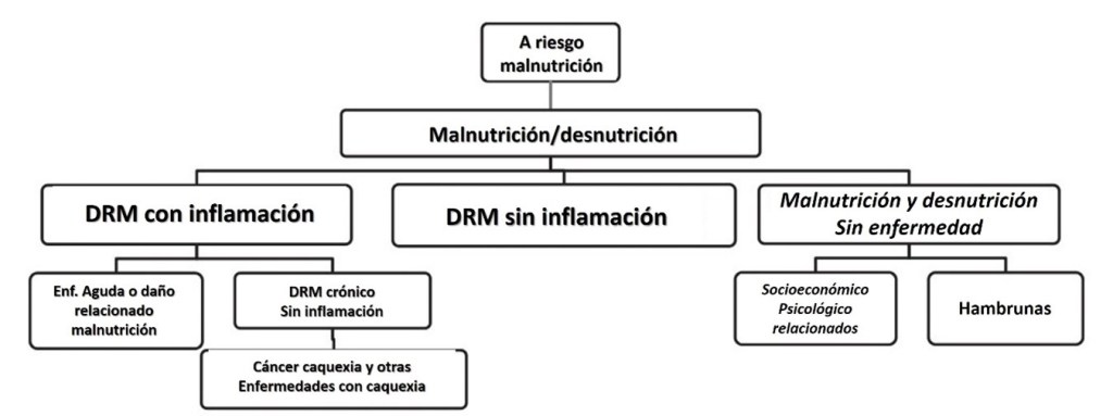 Desnutrición crónica.