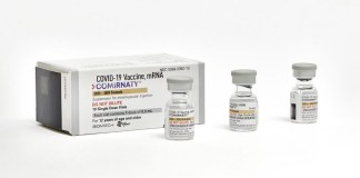 En esta foto difundida por Pfizer en septiembre de 2023 se muestran ampolletas de una sola dosis de la vacuna actualizada de la compañía contra el COVID-19 para adultos.