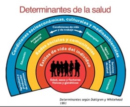 En la foto se pueden observar las determinantes de la salud. Foto: Cortesía. 