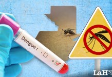 Semáforo del Dengue: Fases, síntomas y qué hacer ante la enfermedad
