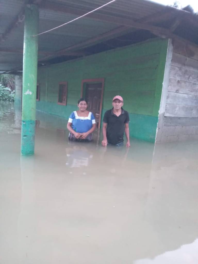 En San Martín Panzós, Alta Verapaz el agua no ha bajado de nivel. Los cultivos se han perdido.