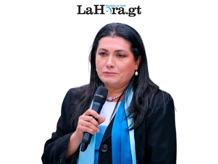 Presidenta del TSE, Blanca Alfaro. Diseño La Hora/Alejandro Ramírez