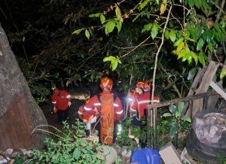 El suceso ocurrió en horas de la mañana, según indicaron los Bomberos Voluntarios, tras recibir un llamado de auxilio.