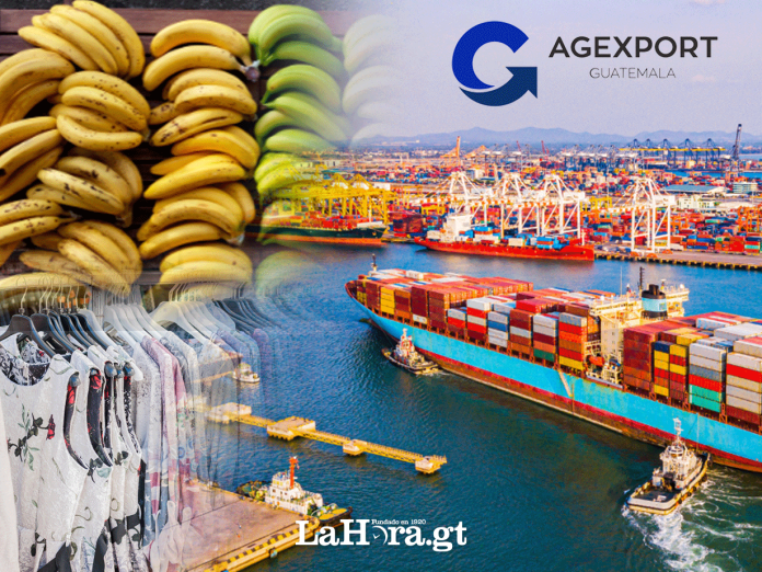 Agexport da a conocer qué exportaciones han aumentado o disminuido en este año.