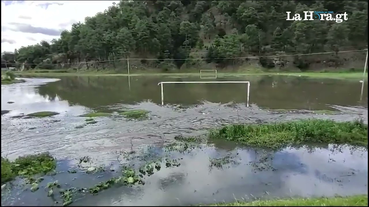 Cultivos De Maíz Afectados Por Inundaciones Y Exceso De Lluvia La Hora