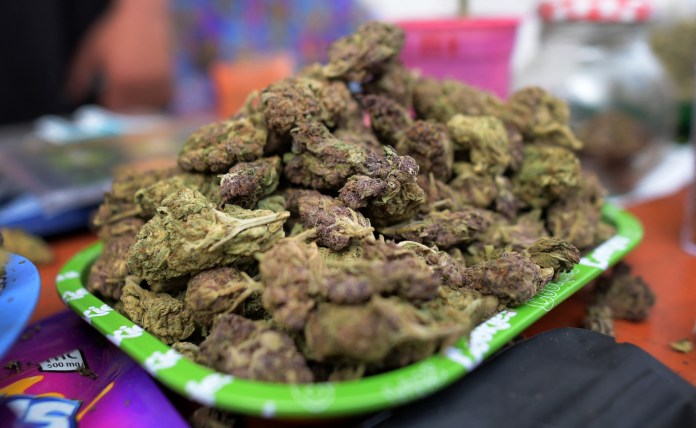 Se ve marihuana a la venta durante el festival Cannabis at the park en Bogotá, Colombia, el 7 de octubre de 2023.