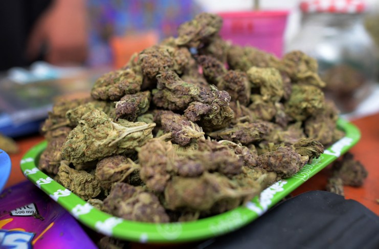 Se ve marihuana a la venta durante el festival Cannabis at the park en Bogotá, Colombia, el 7 de octubre de 2023.