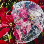 Derivado de las bajas temperaturas, se formó una delgada capa de hielo en el agua en el occidente del país, reportaron vecinos. Foto: Gilberto Escobar/La Hora