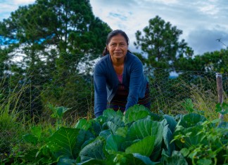 Mujeres de Huehuetenango reciben capacitación sobre agricultura. Foto: Programa Mundial de Alimentos