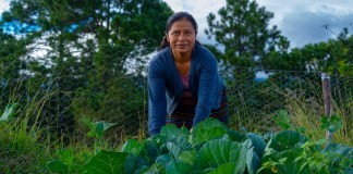 Mujeres de Huehuetenango reciben capacitación sobre agricultura. Foto: Programa Mundial de Alimentos