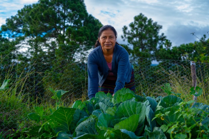Mujeres de Huehuetenango reciben capacitación sobre agricultura. Foto: Programa Mundial de Alimentos