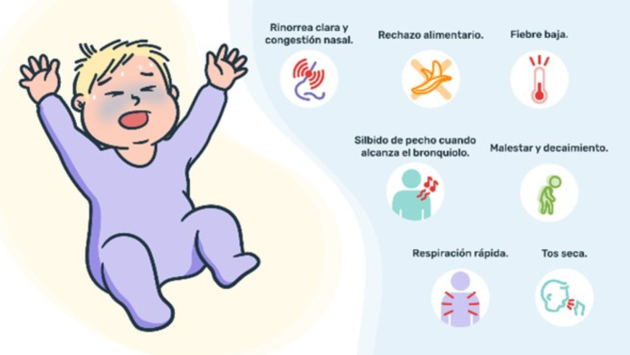 El virus de los bebés es la principal causa de aparición de enfermedades en las vías aéreas de los niños menores de dos años, especialmente bronquiolitis y neumonía.