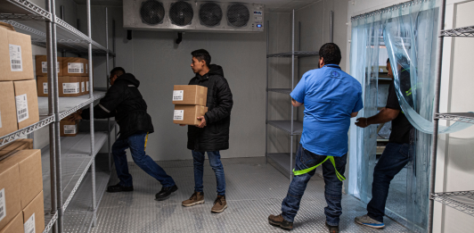 Según autoridades de Salud, la prioridad es abastecer las 29 Direcciones Departamentales de Redes Integradas de Servicios de Salud. Foto: MSPAS