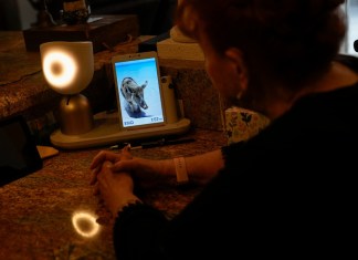 Deanna Dezern, de 83 años, interactúa con su ElliQ, un dispositivo de mesa que utiliza inteligencia artificial para mantener conversaciones similares a las humanas, el jueves 7 de diciembre de 2023, dentro de su casa en Tamarac, Florida. (AP Foto/Rebecca Blackwell)