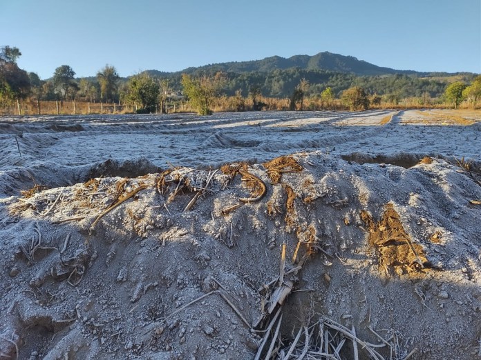 Los campos en Xela amanecieron con una capa de escarcha. Foto: Cortesía/La Hora