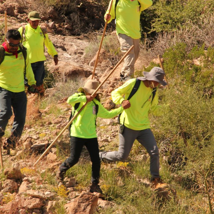 Águilas del Desierto