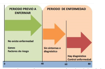 Fuente: López Farré A, Macaya Miguel C. Libro de la Salud Cardiovascular del Hospital Clínico San Carlos y la Fundación BBVA. Primera ed. Fundación BBVA. Bilbao: Fundación BBVA; 2009. 18–696 p.