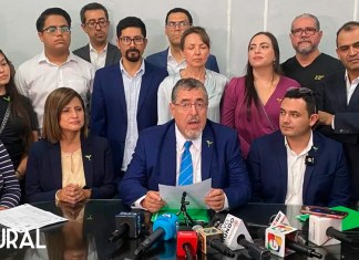 Diputados y autoridades electas por el partido Movimiento Semilla.