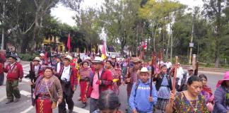 Autoridades ancestrales participan en movilizaciones para exigir el respeto a los resultados de las elecciones generales 2023. Foto: Autoridades Ancestrales/La Hora