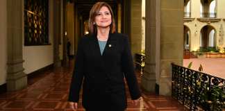 Karin Herrera, vicepresidenta electa.