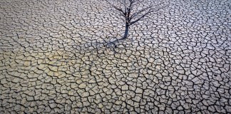 Evidencia de la sequía en el embalse Sau, al norte de Barcelona, España, el 20 de marzo de 2023.