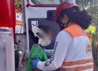 Entre los guatemaltecos migrantes que resultaron lesionados, había 10 menores de edad, informó el INM. Foto: INM