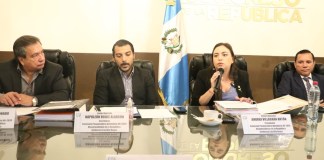 La comisión pesquisidora es dirigida por la diputada Andrea Villagrán. Foto: La Hora