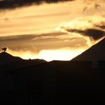 Volcan de Fuego