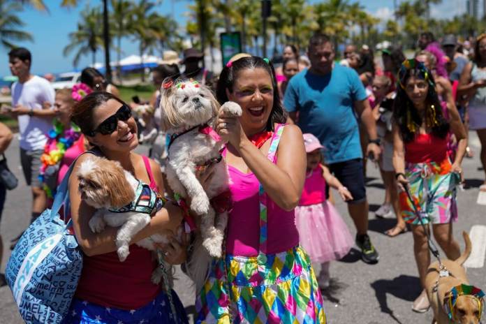 Perros disfrazados y sus dueños participan en el "Blocao", el desfile de Carnaval de los perros en Río de Janeiro