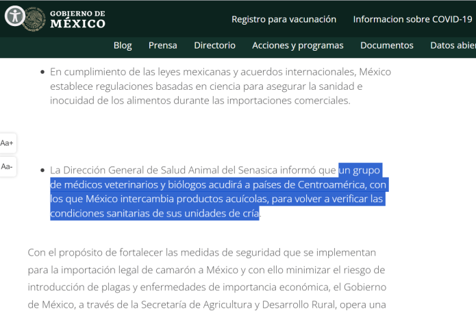 El gobierno mexicano informó que enviará a Centroamérica un grupo de veterinarios y biólogos para asegurar la sanidad el camarón que importa.