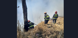 La Conred y los Bomberos Municipales Departamentales combaten un incendio forestal en el km 22.5 de la carretera al Pacífico. Foto: Conred