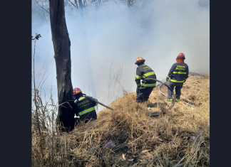 Volcán de Agua: Conred reporta otros siete incendios forestales activos La Conred y los Bomberos Municipales Departamentales combaten un incendio forestal en el km 22.5 de la carretera al Pacífico. Foto: Conred