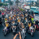 Caravana del Zorro