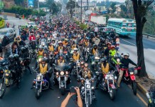 Caravana del Zorro