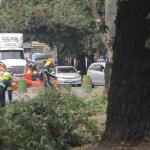 Puente Bran zona 2