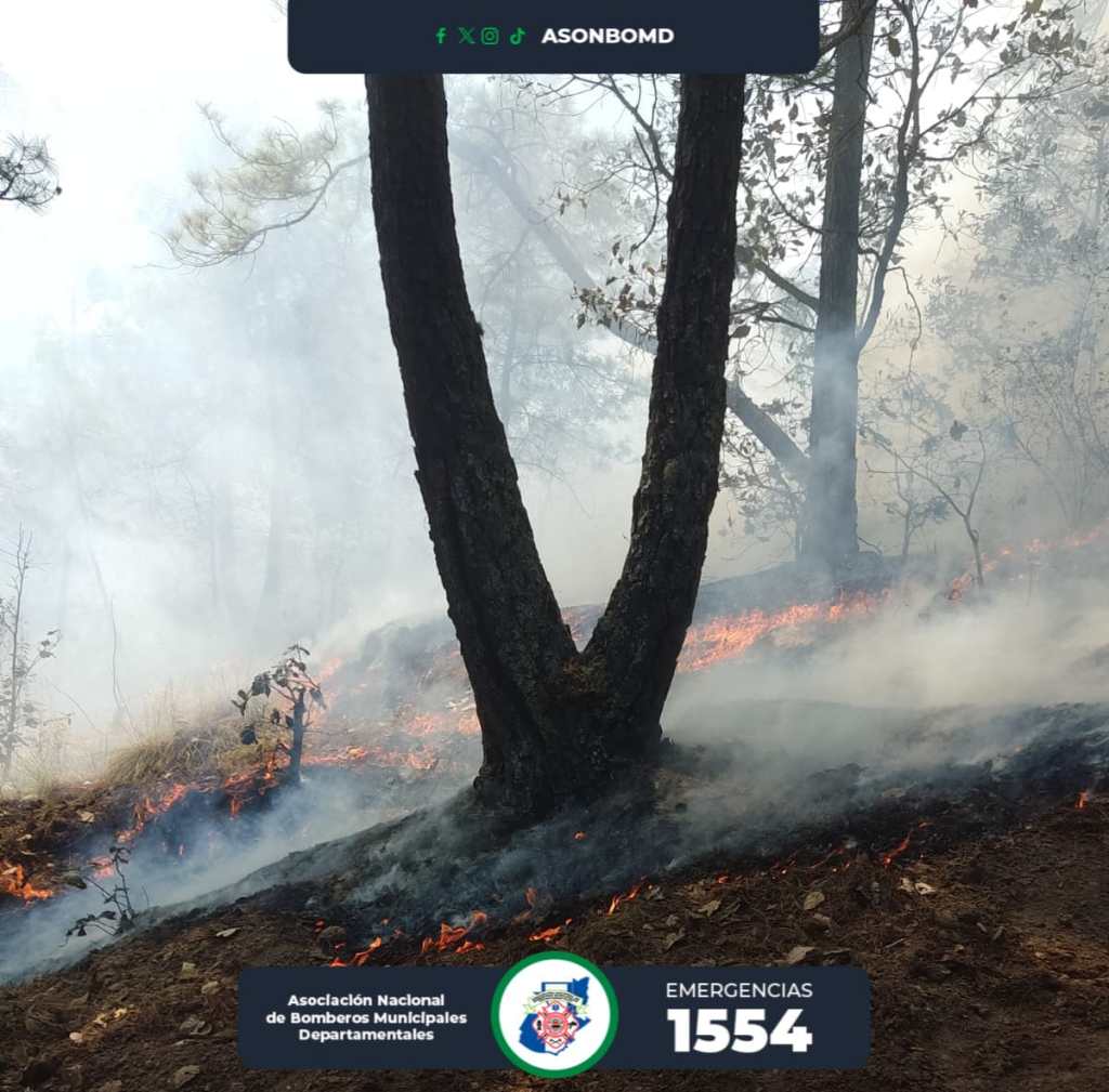 Foto Bomberos Municipales DepartamentalesDe acuerdo con Conred, debido a incendios se han consumido miles de hectáreas.